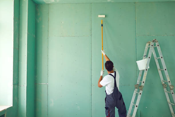 Mold Removal for HVAC Installations in Washington, UT