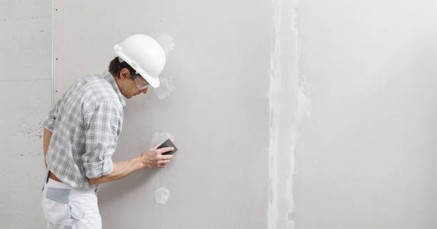 Best Basement Mold Removal  in Washington, UT