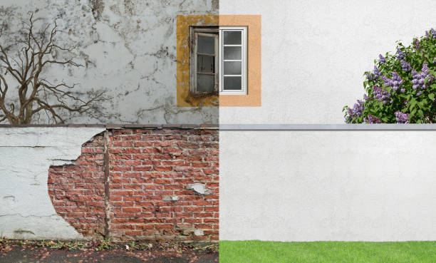 Best Mold Damage Restoration  in Washington, UT